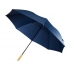 Umbrella-cane 