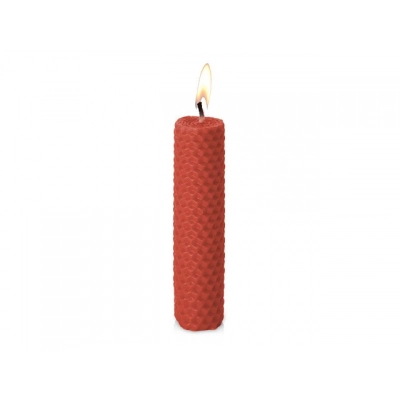 
                                            Свеча из вощины
                                            