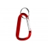 Carabiner with keychain 
