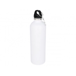 Vacuum bottle 