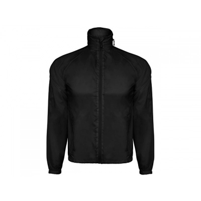 
                                                Kentucky men's windbreaker
                                                