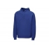 Unisex hoodie with hood 