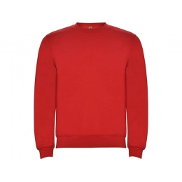 Sweatshirt with fleece 