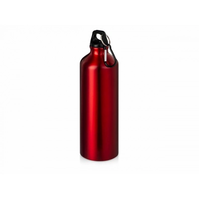 
                                                Hip M bottle with carabiner, 770 ml
                                                