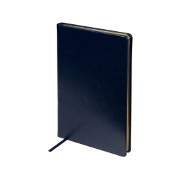 Ежедневник недатированный А5 «Megapolis Nebraska»