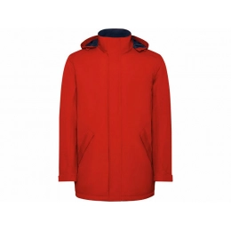 Парка утепленная «America», мужская