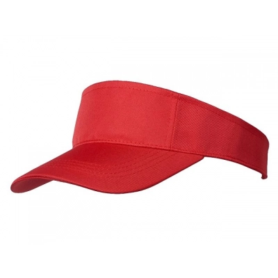 
                                                The visor 