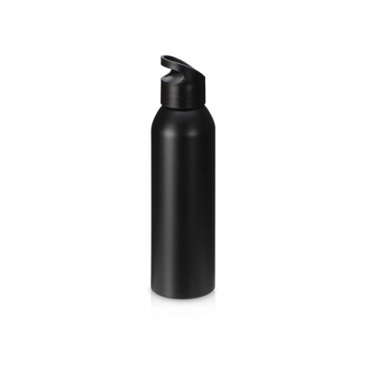 
                                            Алюминиевая бутылка для воды с ручкой «Plain Alu», 650 мл
                                            