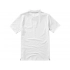 Calgary men's polo shirt