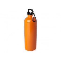 Одностенная бутылка для воды с карабином «Oregon», 750 мл