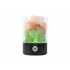 LED night light 