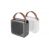 Portable speaker 