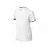 Men's polo shirt 