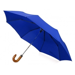 Folding umbrella 