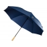 Umbrella-cane 