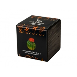 Набор для выращивания «Small village cube «Эхинокактус Альбинос»