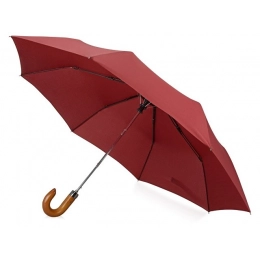 Folding umbrella 