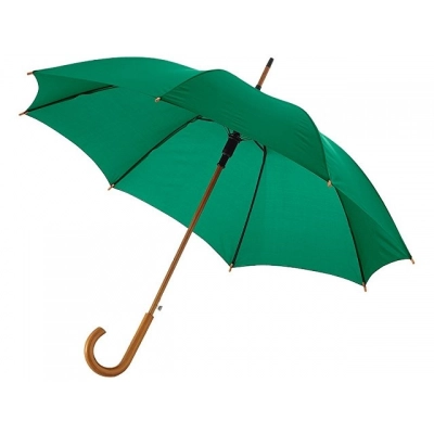 
                                                Umbrella-cane 