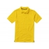Calgary men's polo shirt