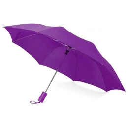 Folding umbrella 