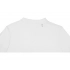 Men's polo shirt 