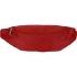 Belt bag 