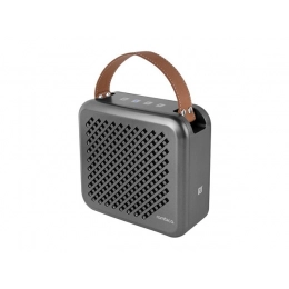 Portable speaker 