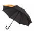 Umbrella-cane 