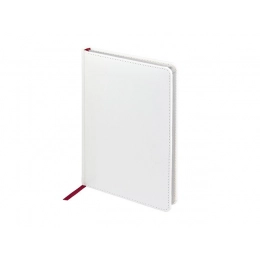 Ежедневник недатированный А5 «Sidney Nebraska»