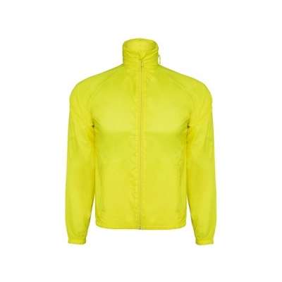 
                                                Kentucky men's windbreaker
                                                