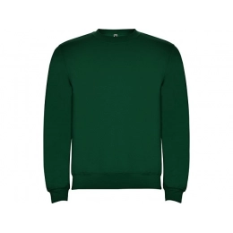 Sweatshirt with fleece 