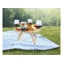 Folding picnic table 