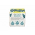 Blue Spruce Tree Growing Kit
