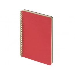 Бизнес тетрадь А5 «Pragmatic»