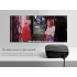 Multimedia projector 