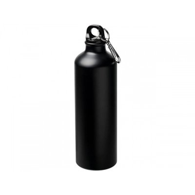 
                                                Pacific bottle with carabiner, matte
                                                