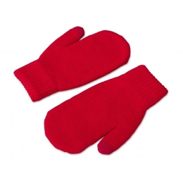 Варежки «Dunant»