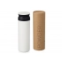 Vacuum thermos 