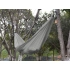 Hammock 