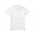 Markham men's polo shirt