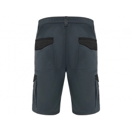 Tahoe shorts, men's