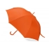 Umbrella-cane 