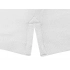 Calgary women's polo shirt