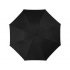 Umbrella-cane 