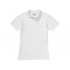 Men's polo shirt 