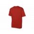 Rotterdam men's T-shirt