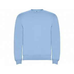 Sweatshirt with fleece 