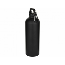 Water bottle with carabiner 