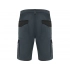 Tahoe shorts, men's