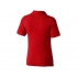 Calgary women's polo shirt